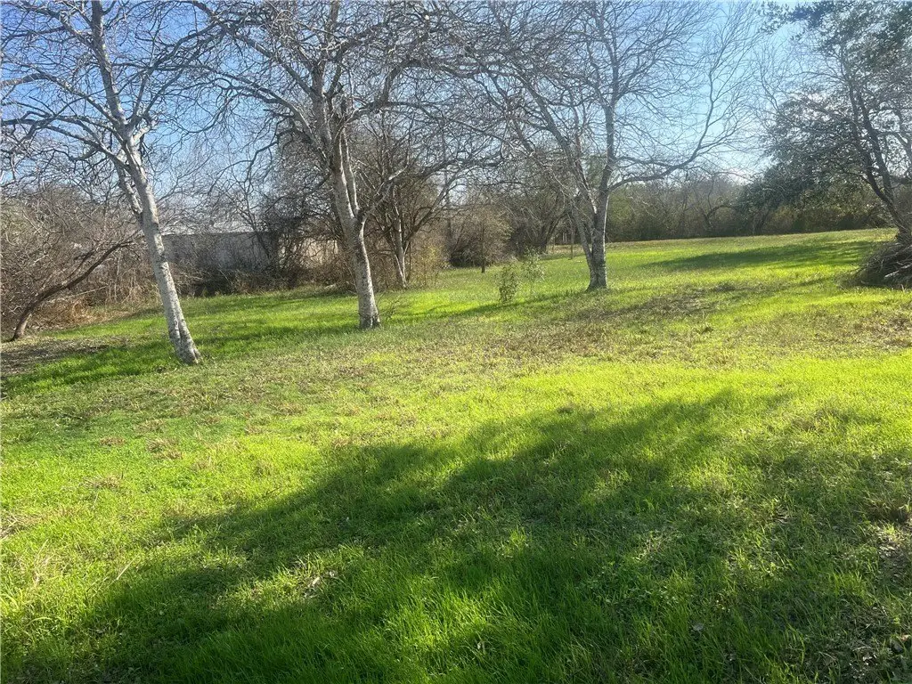 Picture 13