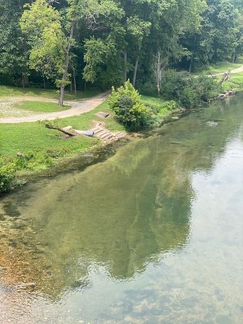 Picture 8