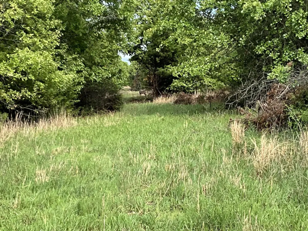 Picture 29
