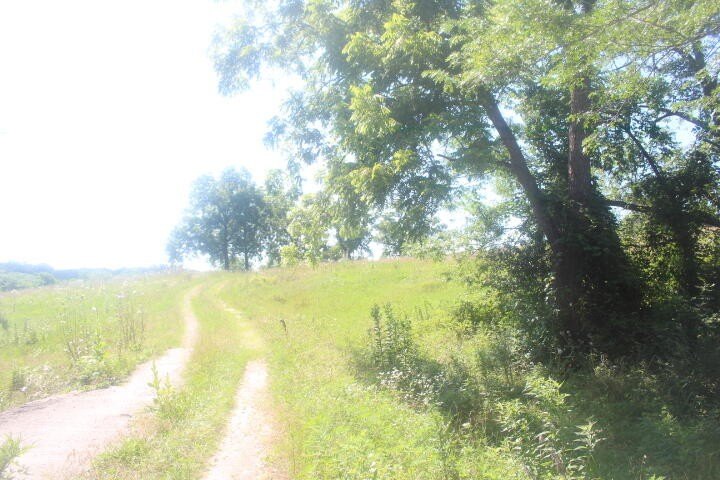 Picture 16