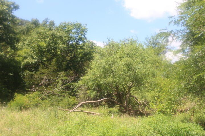 Picture 34