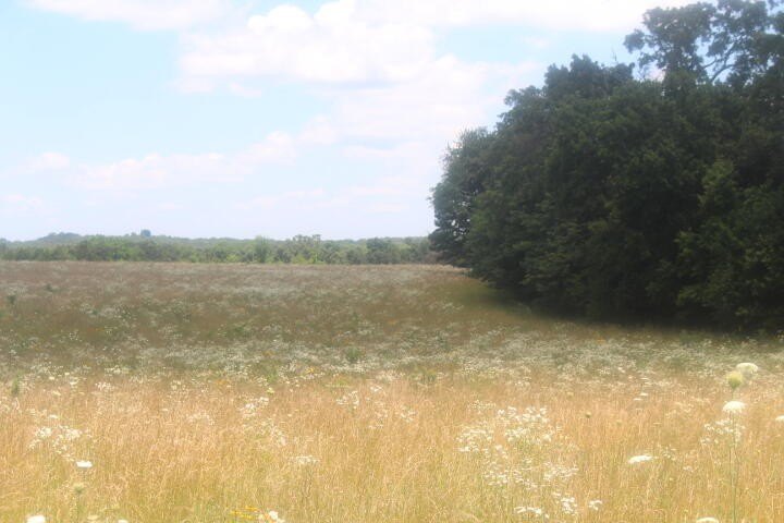 Picture 27