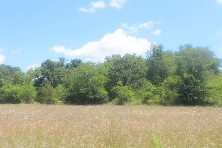 Picture 50