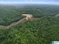 LAND/LOTS, QUINTON, AL