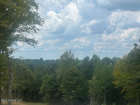 Ripley, MS Wooded Land