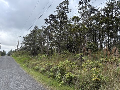 Vacant Land in Volcano, Hawaii