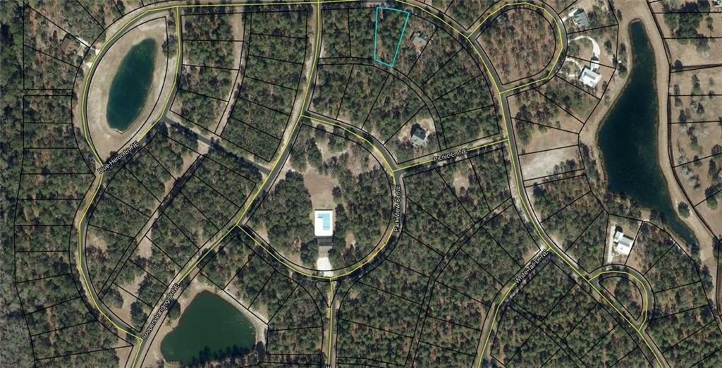 Shellman Bluff Coastal Lot