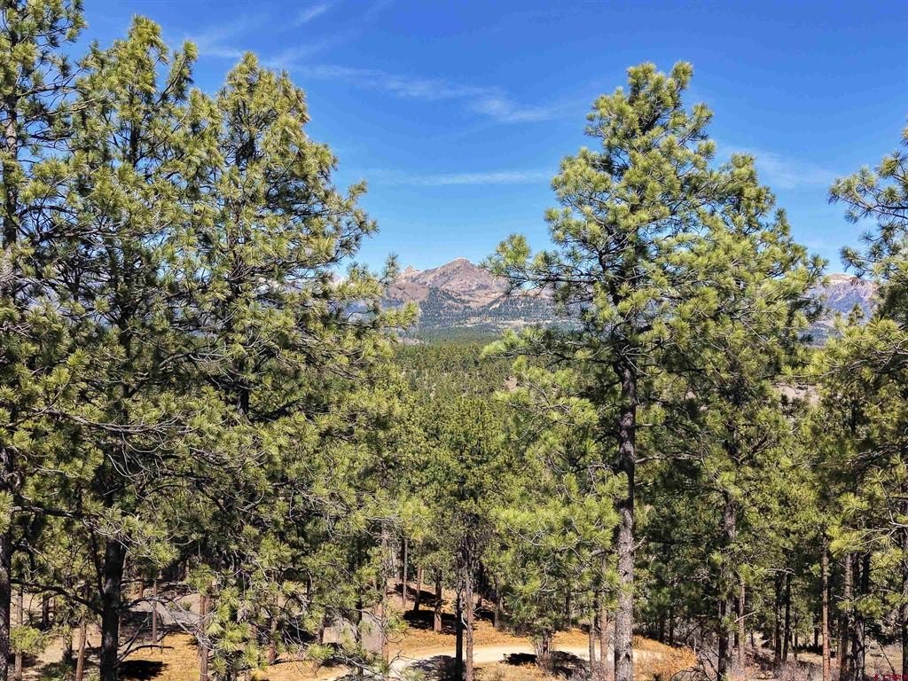 Pagosa Springs Land For Sale