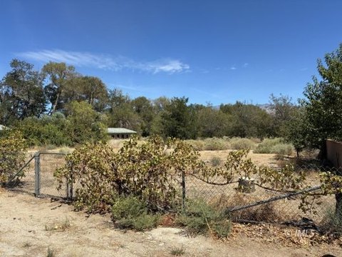 Vacant Land, Independence, CA