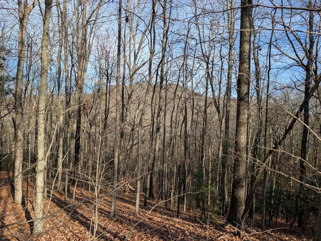 One-Acre Lot in Gated Community