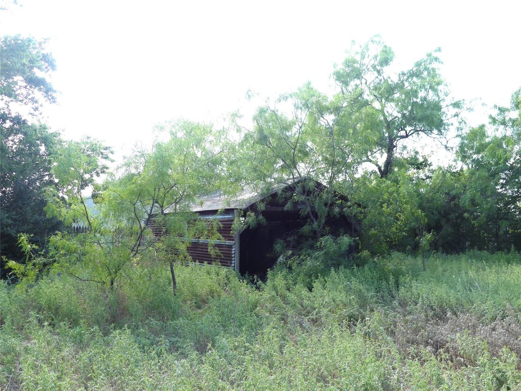 Picture 8