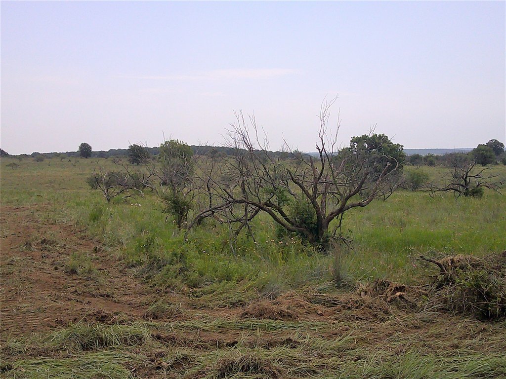 Picture 7