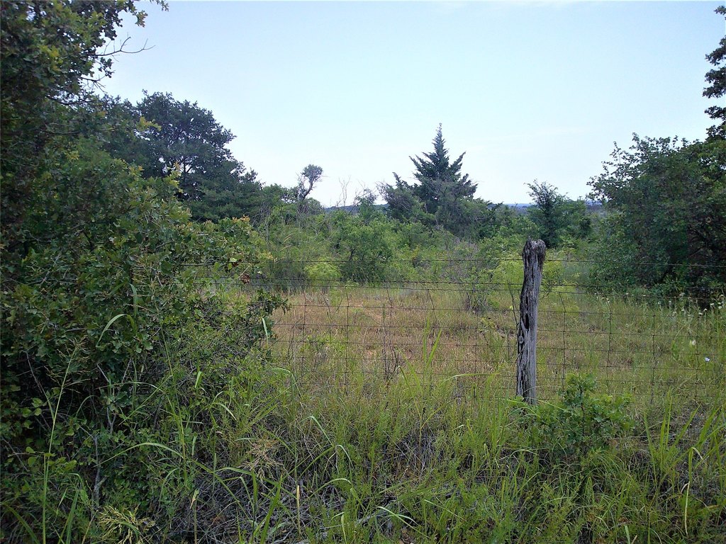 Picture 3