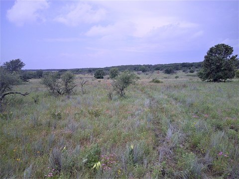 Recreational Land Tract with Elevation