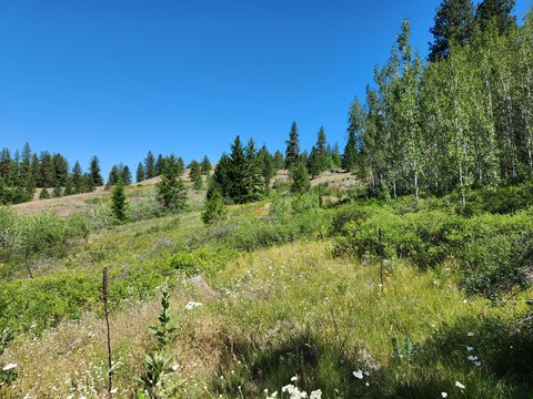 Land, REPUBLIC, WA