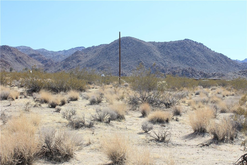 Picture 11