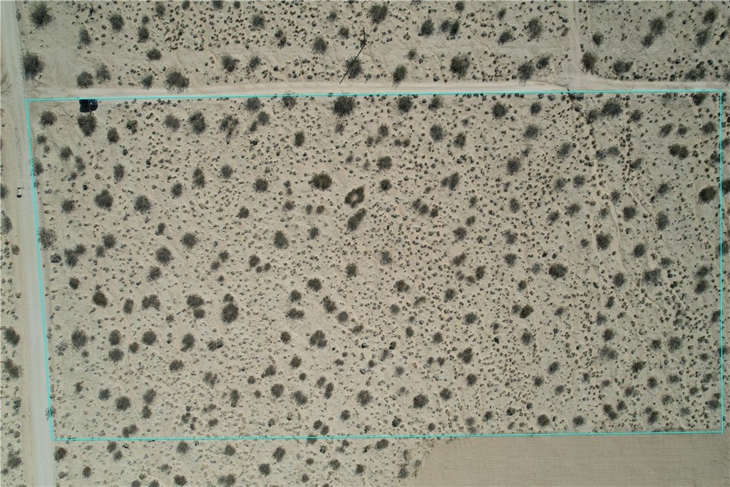 Picture 4