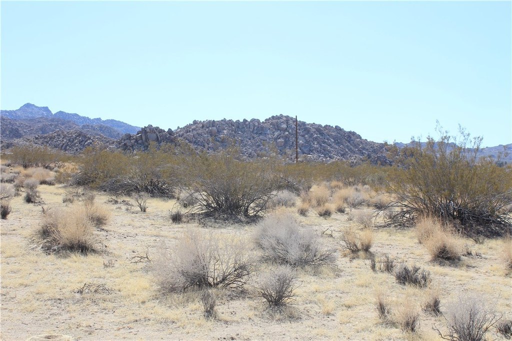 Picture 6