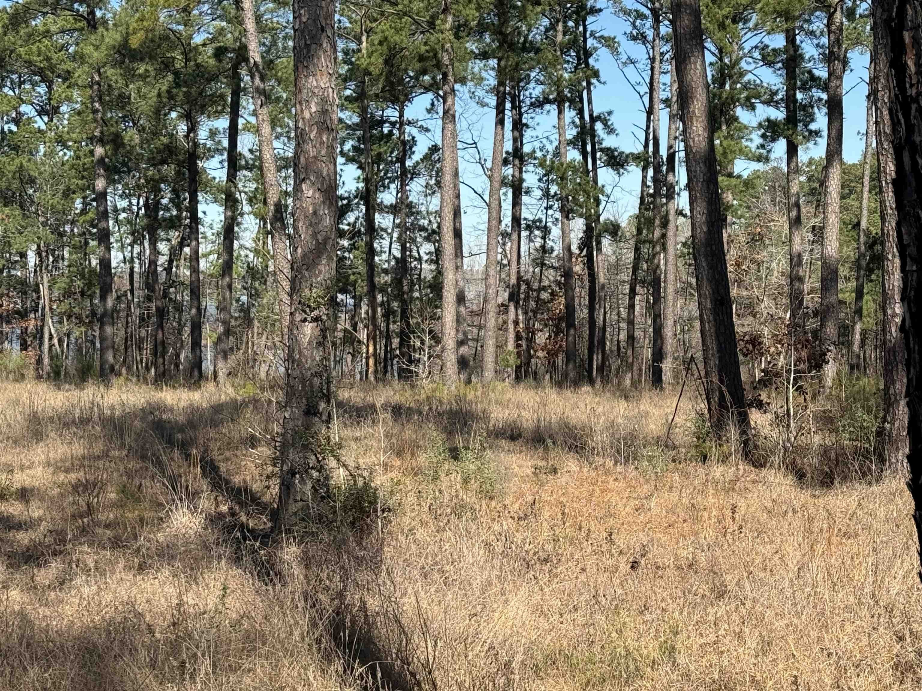 Waterfront Land Near Lake Sam