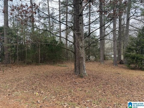 LAND - PELL CITY, AL