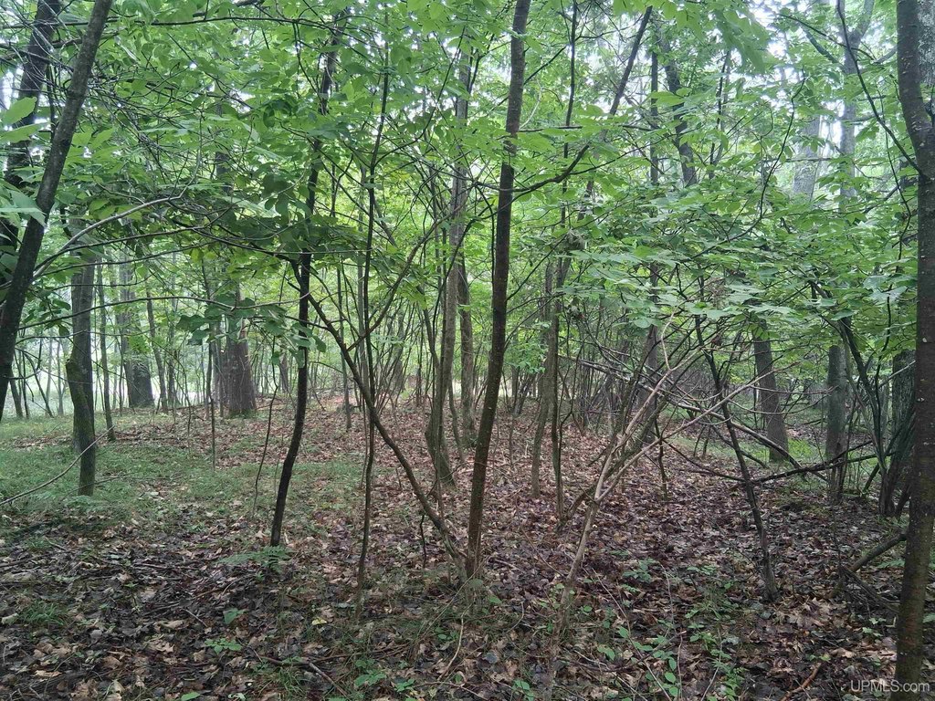 Picture 9