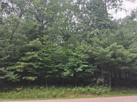LAND - Vulcan, MI