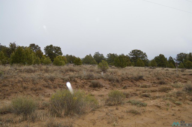 Picture 9