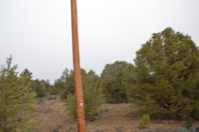 Picture 8