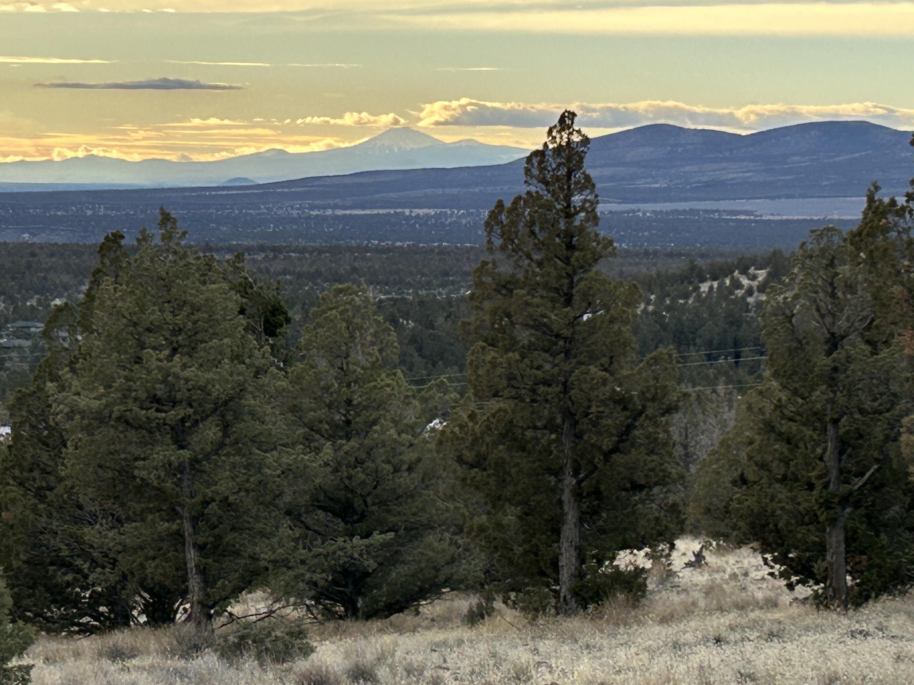 40 Acres in Crook County