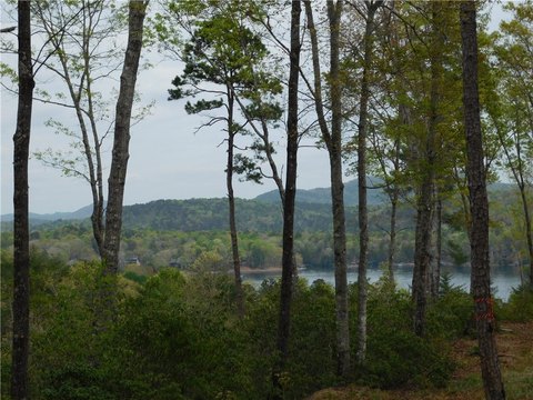 Land with Mountain and Lake Views