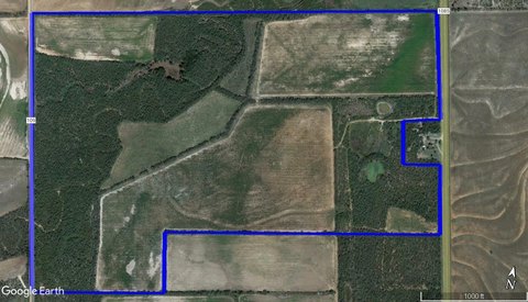 Agricultural Land with Homesite Potential