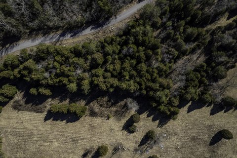 Wooded Land Near Lake Access