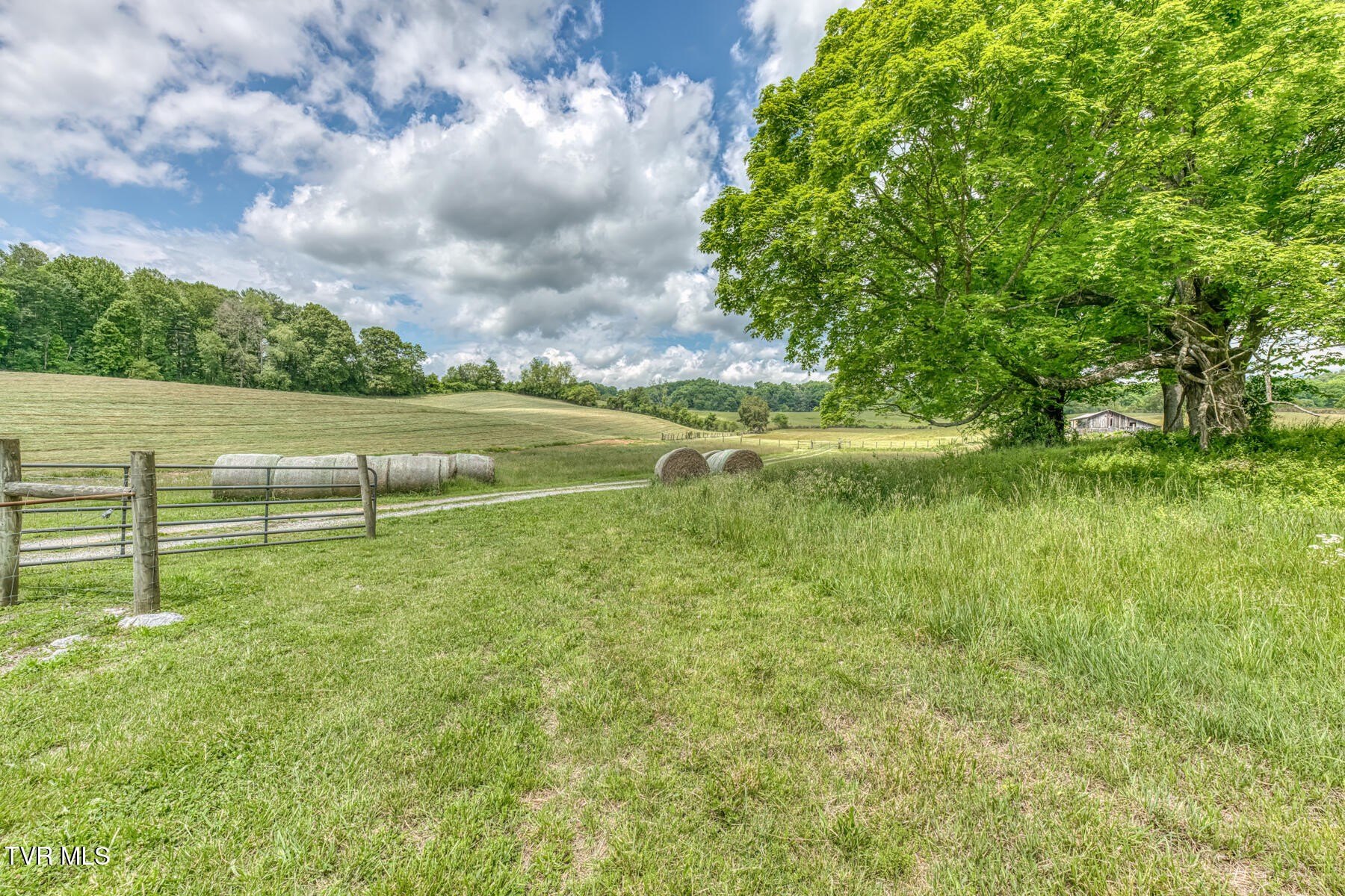 Land with Mountain Views
