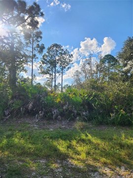 Residential Wooded Lot in R1