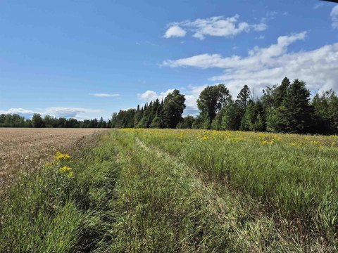 Gulliver Land with Tillable Acres