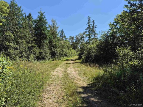 Gulliver Land with Tillable Acres