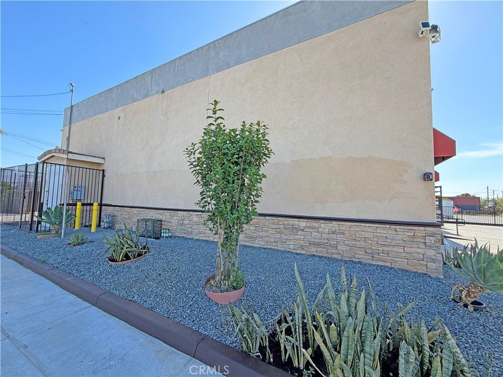 Picture 21
