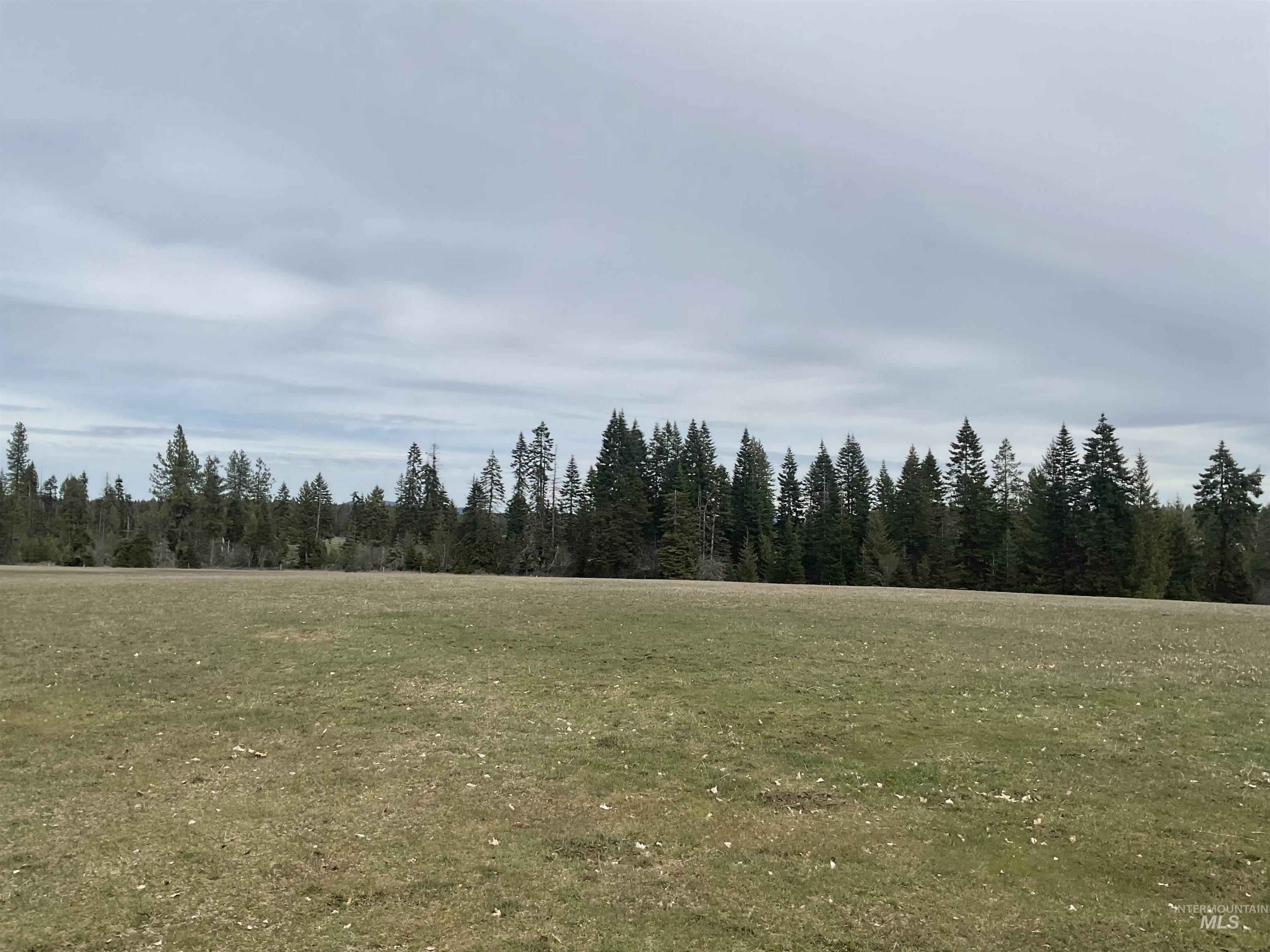 Orofino, ID Land Opportunity