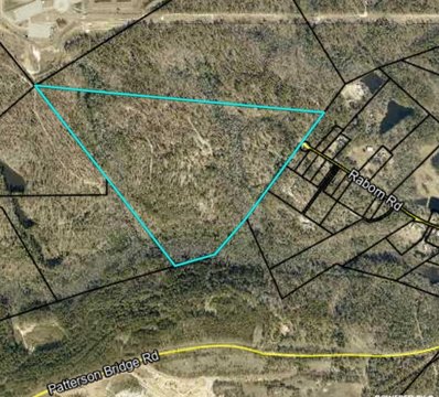 100 Acres in Hephzibah, GA