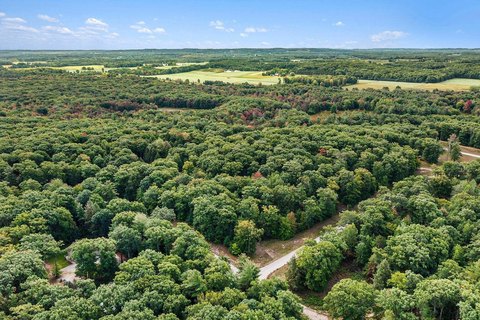 Land, Mears, MI