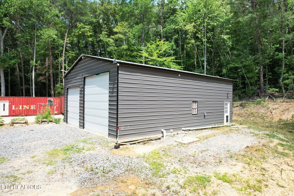 Picture 8