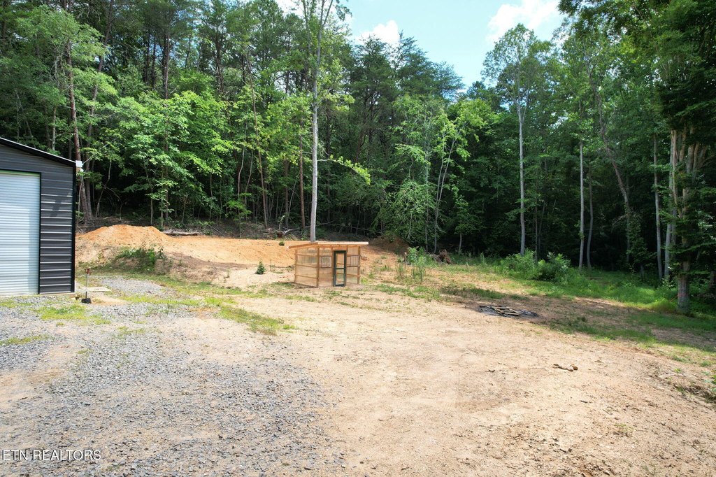 Picture 6