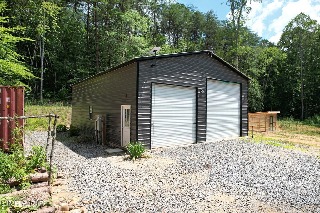 Picture 5