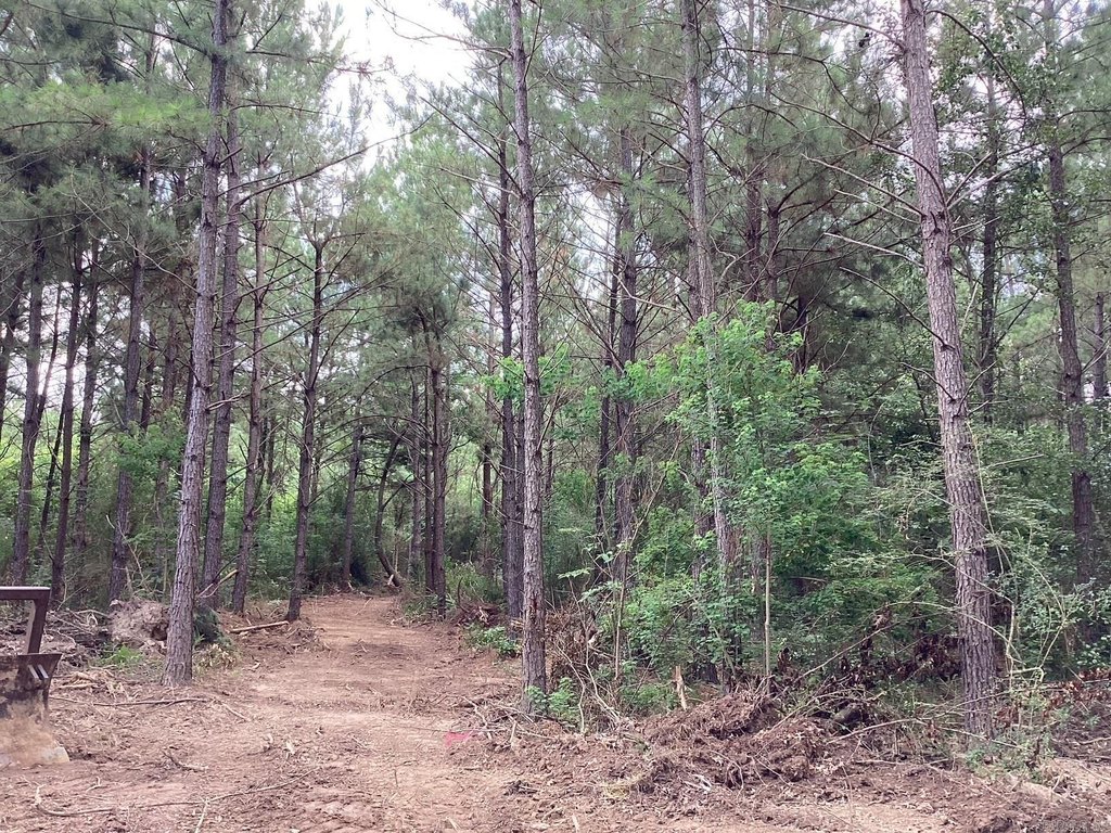 Picture 13