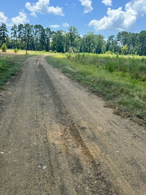 Picture 4
