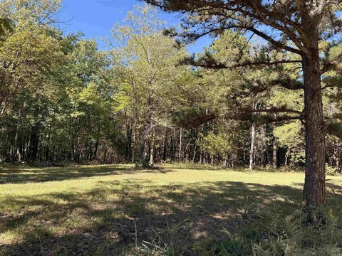 Vacant Land, Clinton, AR