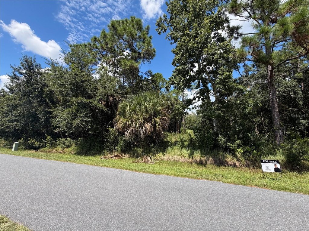 Picture 19