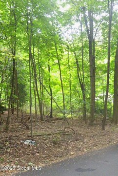 Cleared Land in Amsterdam, NY
