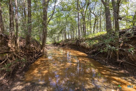259 Acres Ranch in Gonzales