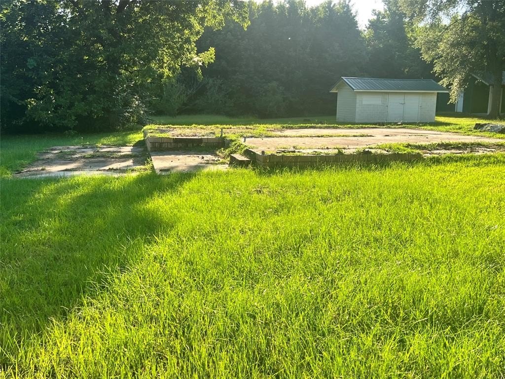 Picture 4